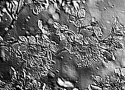 Skamielina