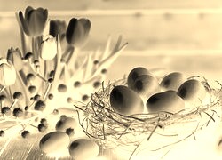 Sepia + Negatyw