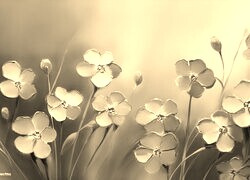 Szary + Sepia