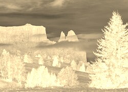 Sepia + Negatyw