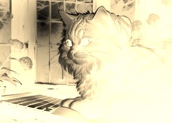 Sepia + Negatyw