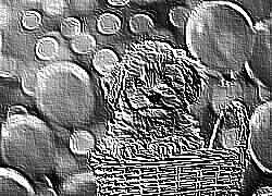 Skamielina