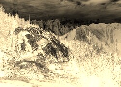 Sepia + Negatyw