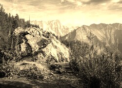 Szary + Sepia