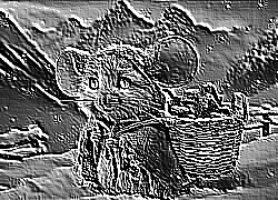 Skamielina