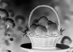 Szary + Negatyw