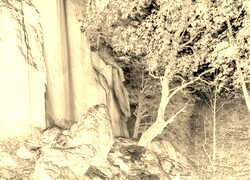 Sepia + Negatyw