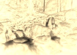 Sepia + Negatyw