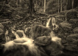 Sepia