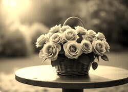 Szary + Sepia