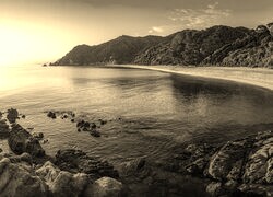 Sepia