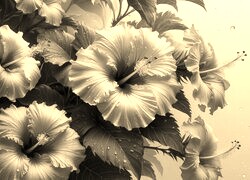 Szary + Sepia