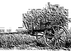 Skamielina