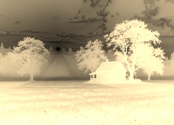 Sepia + Negatyw