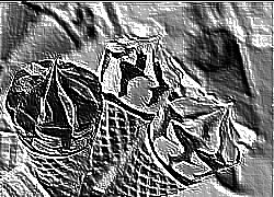 Skamielina