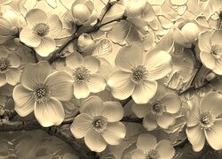 Szary + Sepia
