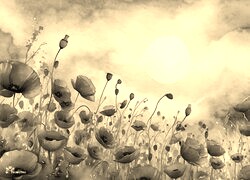 Szary + Sepia