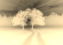 Sepia + Negatyw