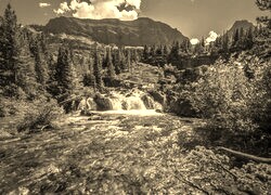 Sepia