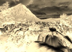 Sepia + Negatyw