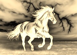 Sepia + Negatyw