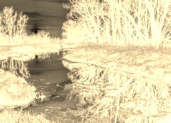 Sepia + Negatyw