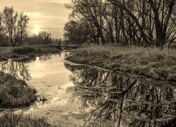 Szary + Sepia