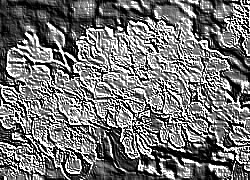 Skamielina