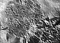 Skamielina