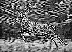 Skamielina