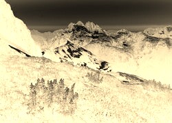 Sepia + Negatyw