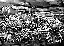 Skamielina