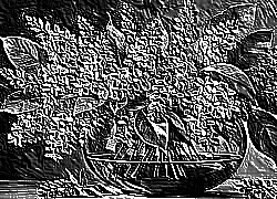 Skamielina
