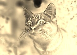 Sepia + Negatyw
