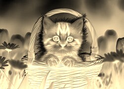 Sepia + Negatyw
