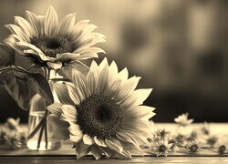 Szary + Sepia