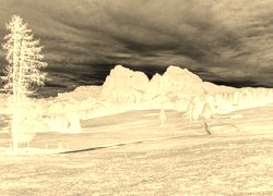 Sepia + Negatyw
