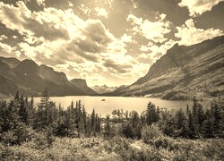 Szary + Sepia