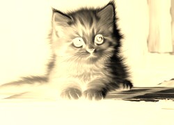 Sepia + Negatyw