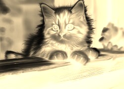 Sepia + Negatyw