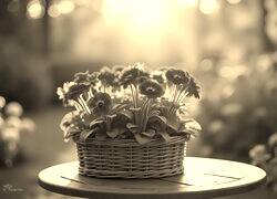 Sepia
