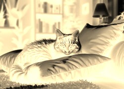 Sepia + Negatyw