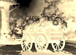 Sepia + Negatyw