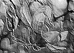 Skamielina