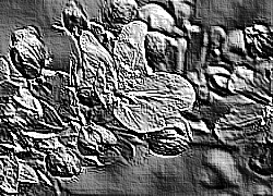 Skamielina