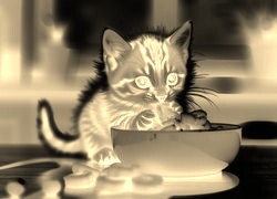 Sepia + Negatyw