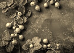 Szary + Sepia