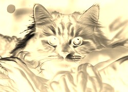 Sepia + Negatyw