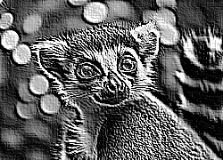 Skamielina