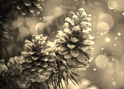 Szary + Sepia